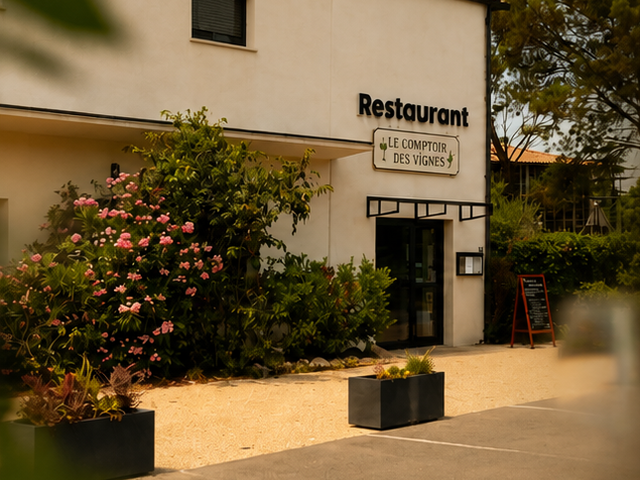Le Comptoir des Vignes ( Hérault 34 ) 